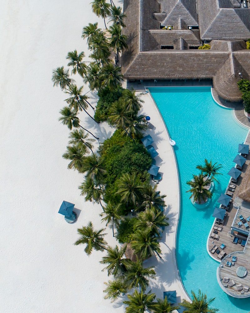 Aerial view of a resort pool and palm trees